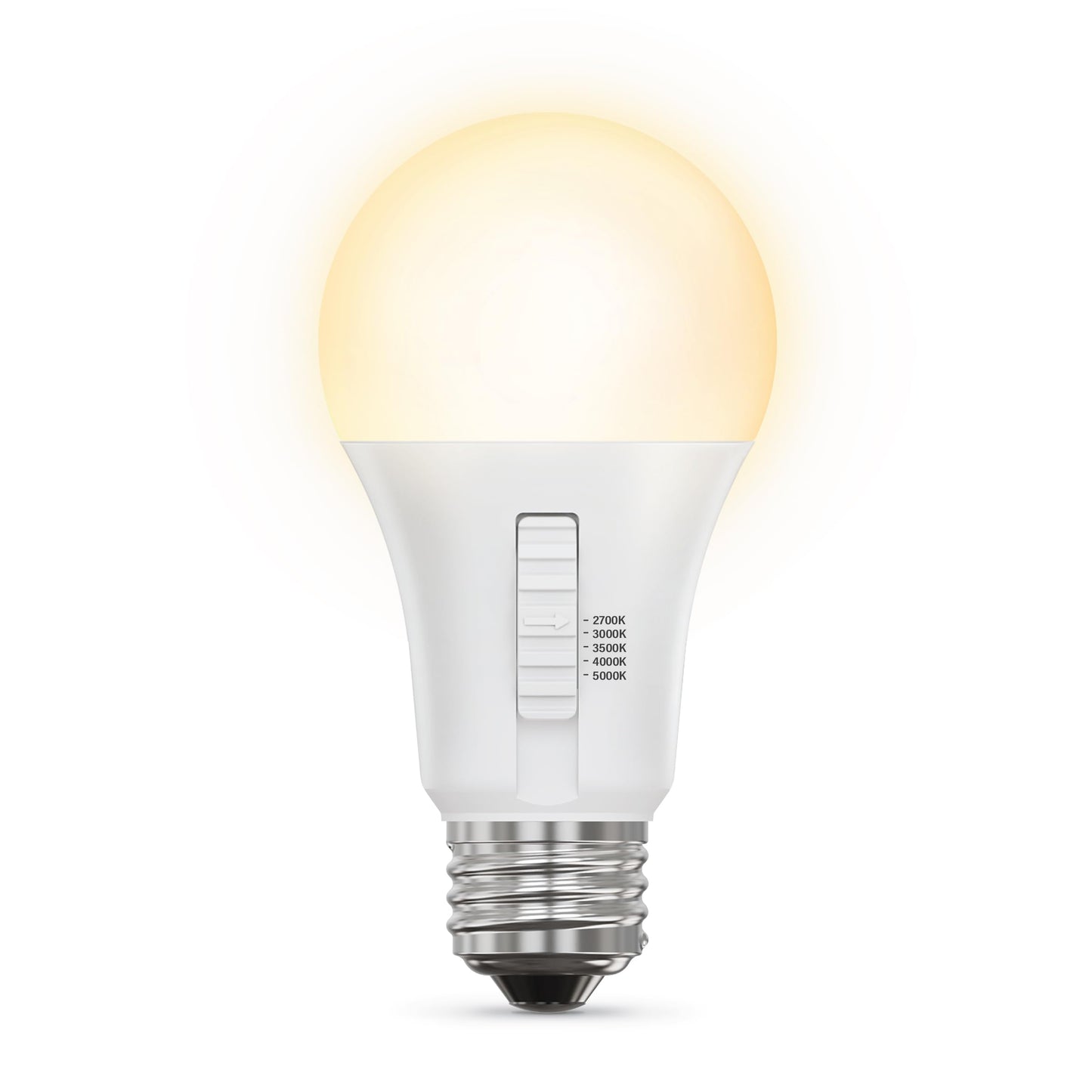 A19 LED Light Bulb (10 Count)