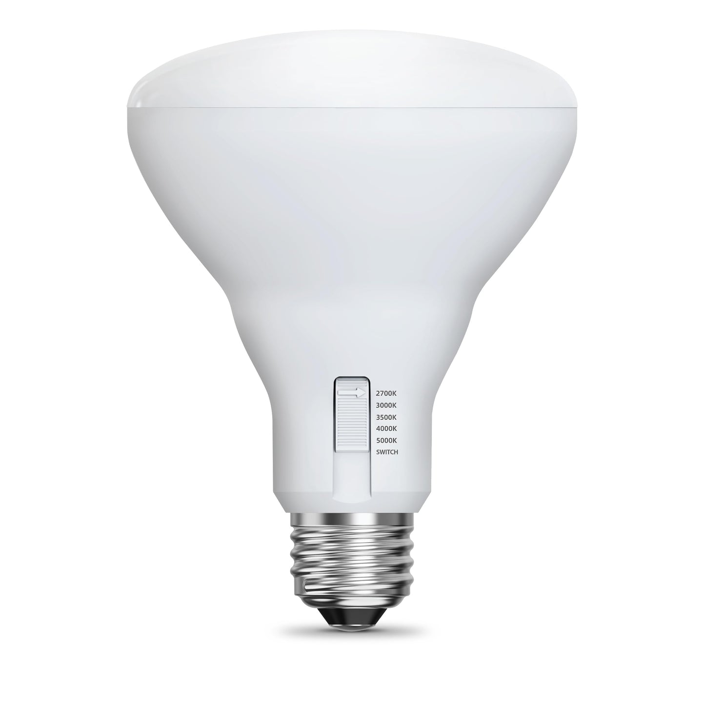 BR30 LED Light Bulbs (2 Count)