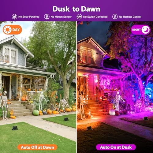 Orange and Purple Halloween Lights (Orange and Purple)