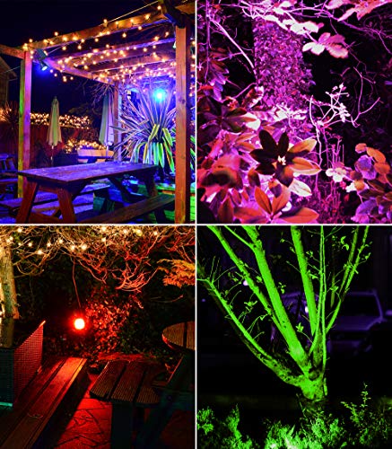 Solar Outdoor Lights (2 Count)