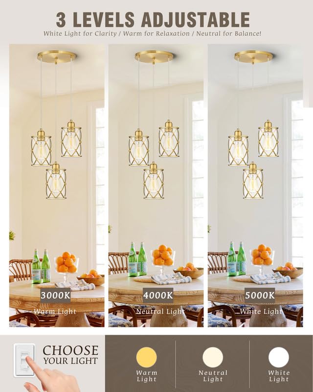 Brushed Gold Dining Room Chandeliers Light Fixtures