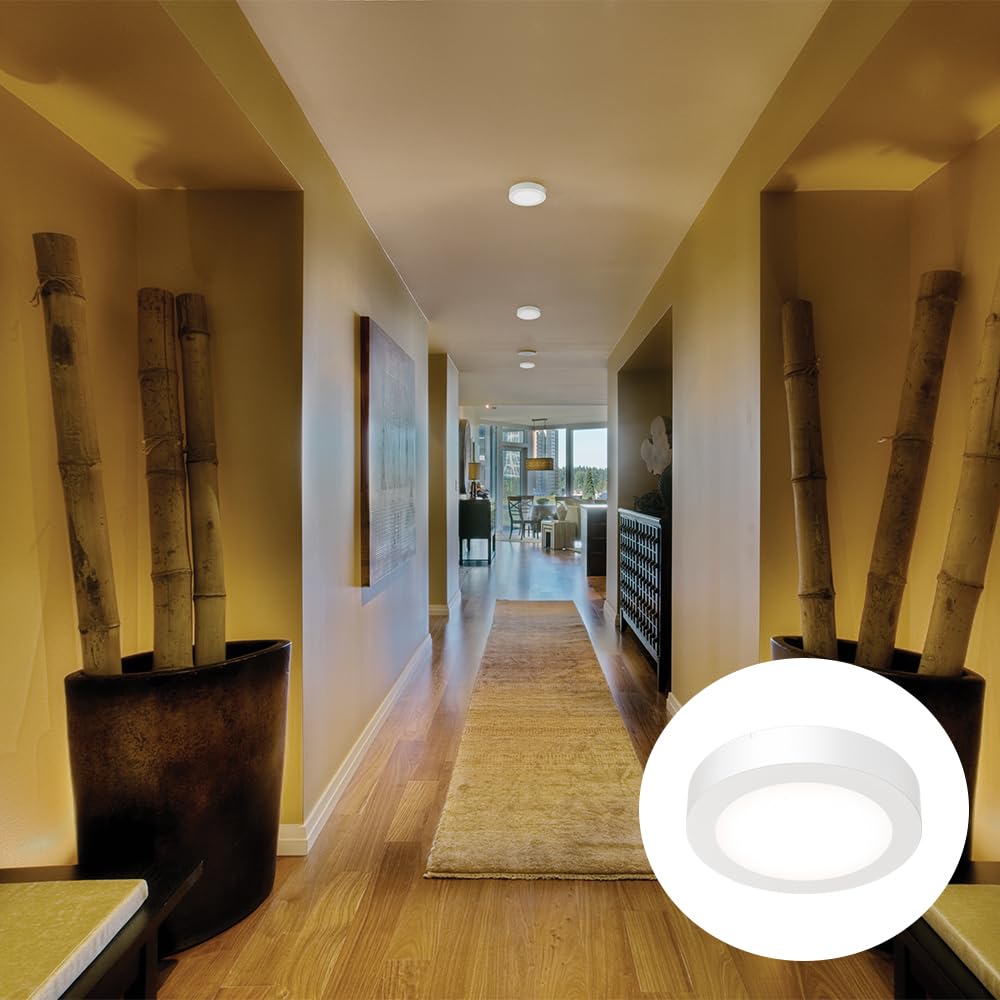Slim Basics 6 Inch LED Ceiling Light