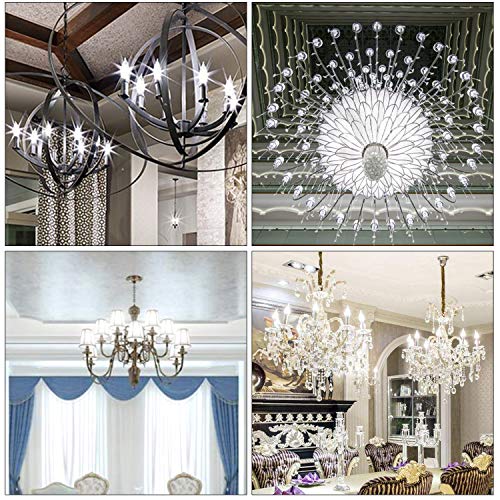 Candelabra Light Bulbs 5000K (12 Count)