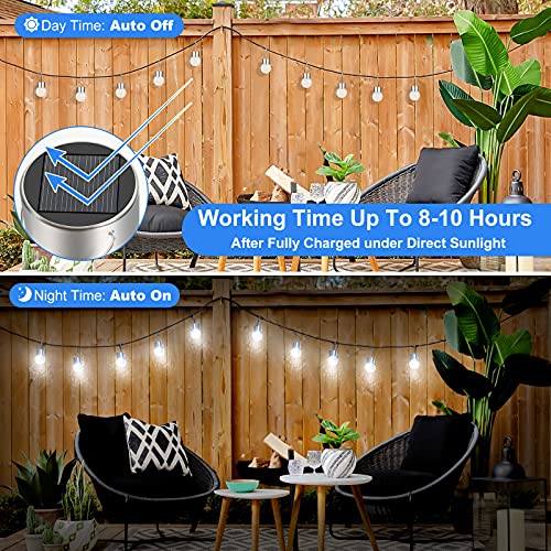 12Pack Outdoor Hanging Solar Lights (12 Count)