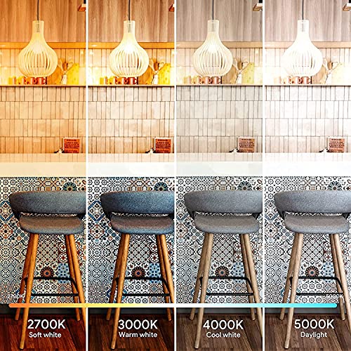 ENERGETIC Super Bright Light Bulb 150 Watt Equivalent A21 LED Light Bulb (2 Count)