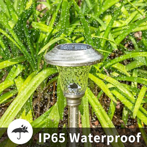 Metal & Glass Solar Lights Outdoor (8 Count)