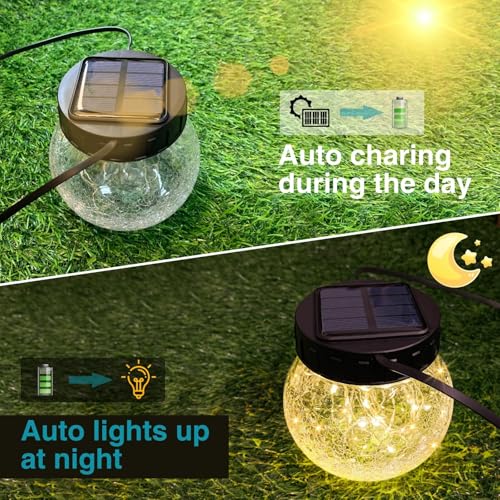 Solar Lanterns Outdoor Waterproof 6 Pack (6 Count)