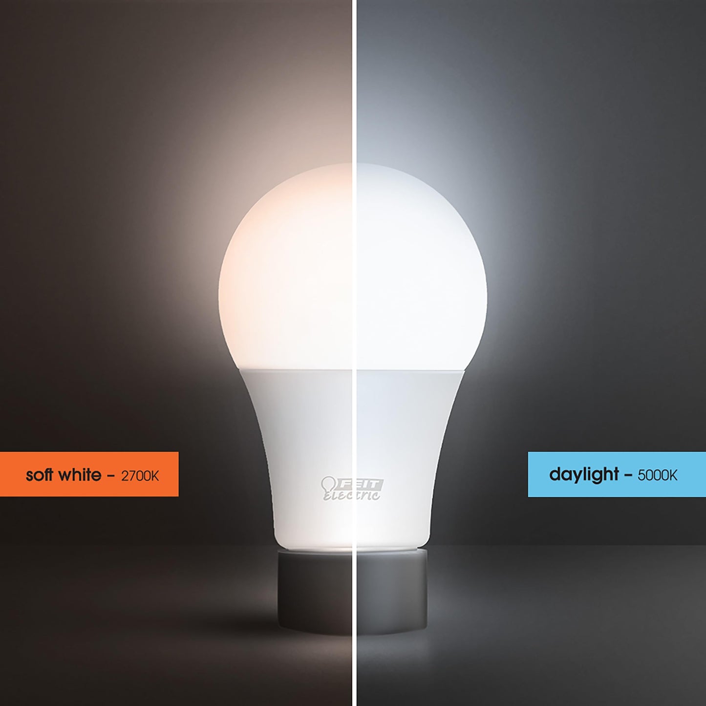 Enhance A19 LED Light Bulb (2 Count)