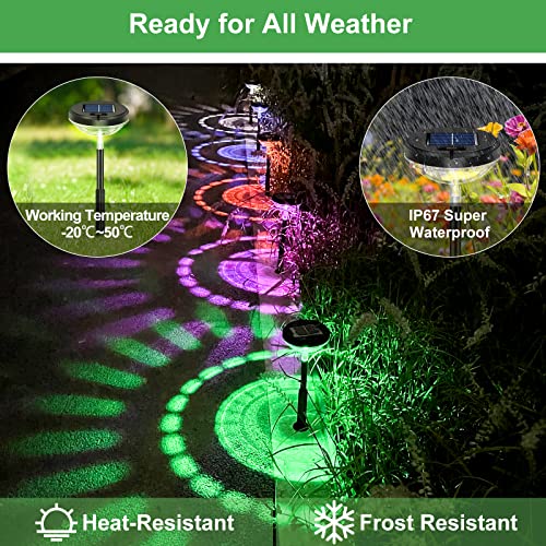 8 Pack Solar Pathway Lights (8 Count)