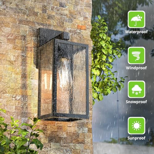 Outdoor Wall Light Fixtures (2 Count)