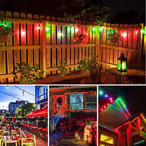 S14 Colored LED String Light Bulbs (24 Count)