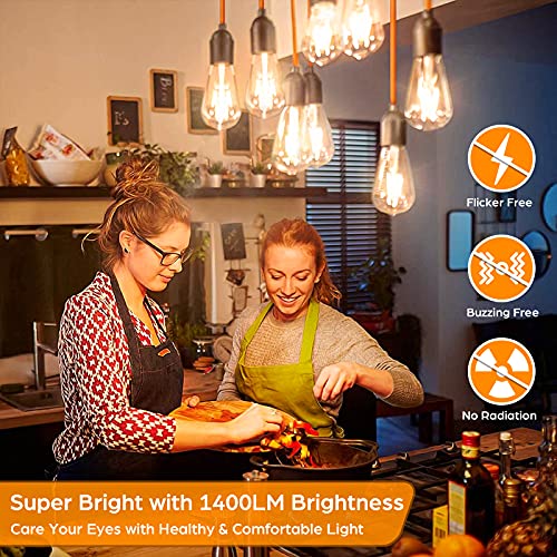4 Pack Vintage LED Edsion Bulbs 100W Equivalent (4 Count)