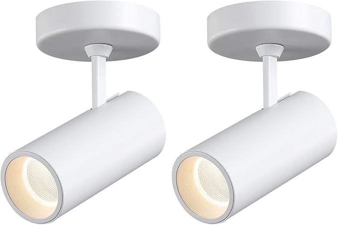 12W LED Dimmable Ceiling Spotlight Indoor - Adjustable Surface Accent Lamp for Corridor, Living Room, Warm White 3000K, CRI 97 Anti-Glare Picture Artwork Spot Light, White Finish, 2 Packs