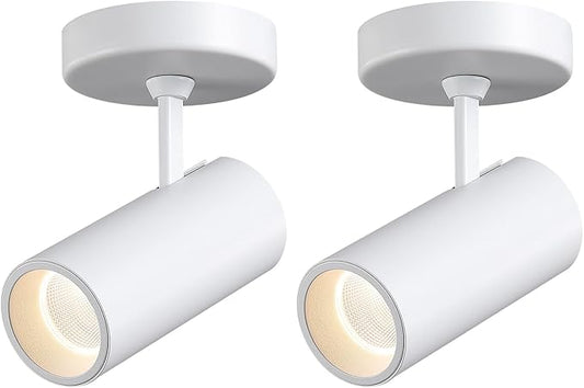 12W LED Dimmable Ceiling Spotlight Indoor - Adjustable Surface Accent Lamp for Corridor, Living Room, Warm White 3000K, CRI 97 Anti-Glare Picture Artwork Spot Light, White Finish, 2 Packs