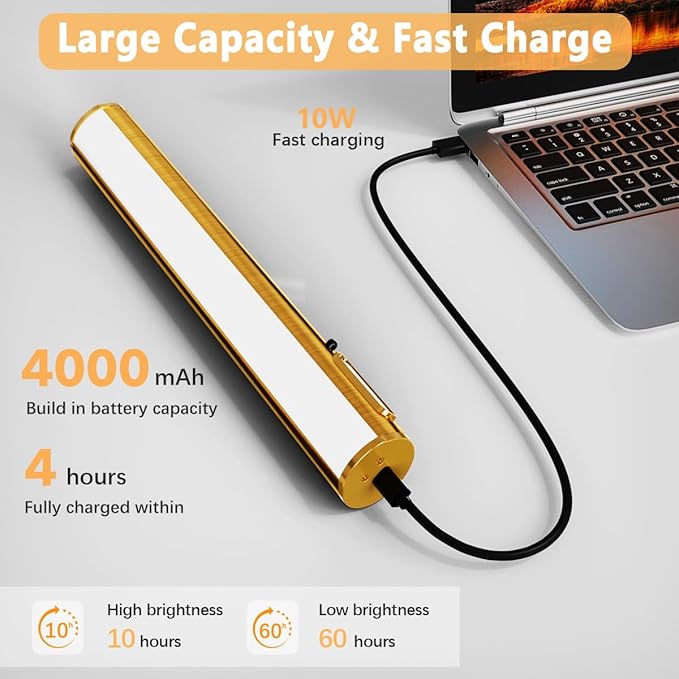 Wireless Rechargeable Picture Light, Battery Operated Art Wall Sconce with Remote Control, Magnetic Dimmable LED Picture Frame Lighting for Paintings Mirror Portrait Gallery Dart Board Indoor - Brass