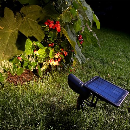 Tri Color Progressive Solar LED Spotlight with 100 Lumens