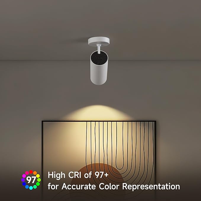 12W LED Monopoint Ceiling Spotlight Indoor - Adjustable Surface Accent Lamp for Corridor, Warm White 3000K, CRI 97 Anti-Glare Picture Painting Spot Light Fixtures, White