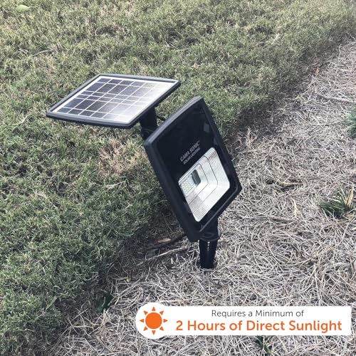 Dual Color Solar Flood Light