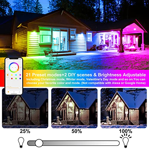 LED Flood Light Outdoor 800W Equivalent 8000LM