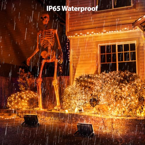 Orange Halloween Flood Lights (Orange)