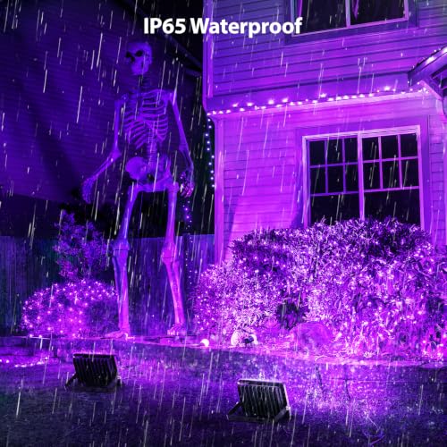 Purple Halloween Lights (Purple)