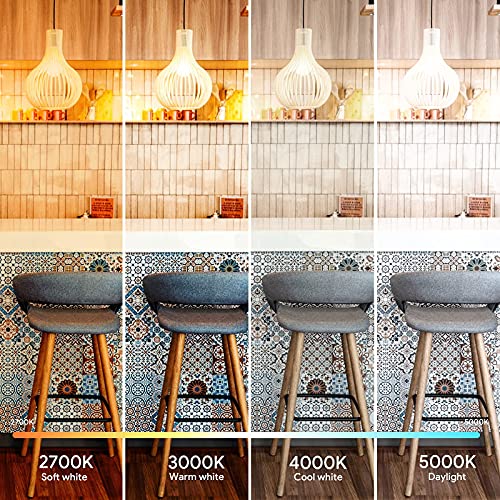 ENERGETIC SMARTER LIGHTING 150 Watt Light Bulb (2 Count)