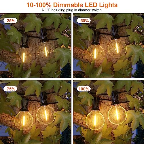 Outdoor String Lights