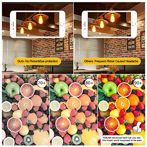 Dimmable LED Edison Light Bulbs 100W Incandescent Equivalent (4 Count)