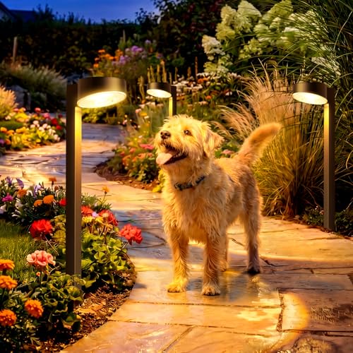 8 Pack Solar Pathway Lights Outdoor (8 Count)