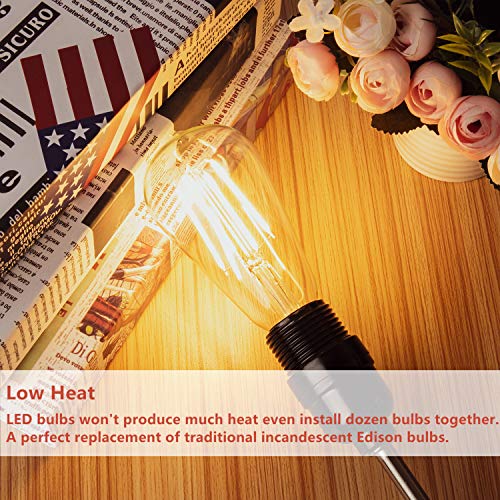 Vintage LED Edison Bulbs 60 Watt Equivalent (12 Count)