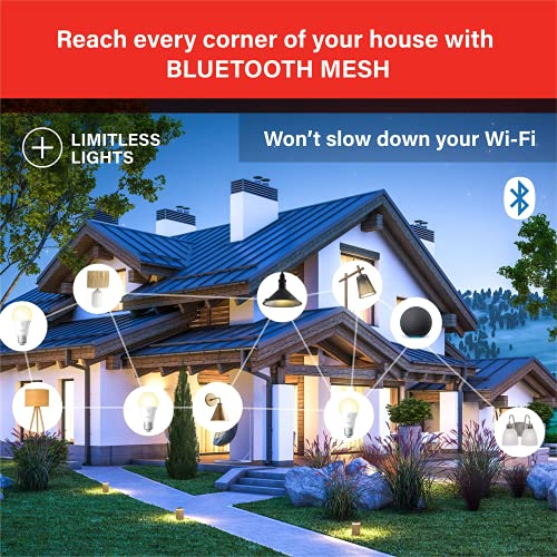 Alexa Light Bulb (4 Count)