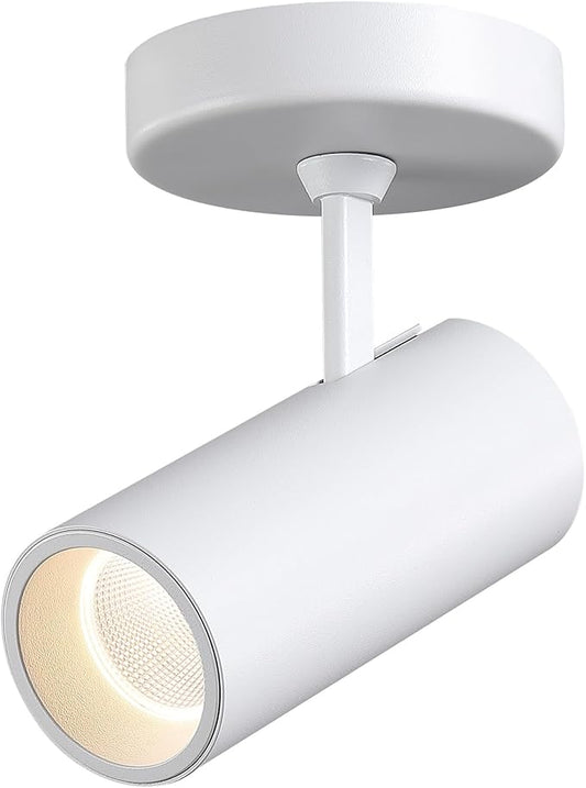 12W LED Dimmable Ceiling Spotlight Indoor - Adjustable Wall Surface Accent Lamp for Home Corridor, Warm White 3000K, CRI 97 Directional Picture Artwork Spot Light, Modern Interiors, White