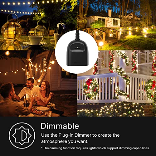 Kasa Outdoor Smart Dimmer Plug