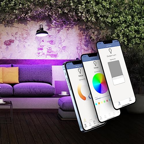 BR30 Smart Flood Light Bulb