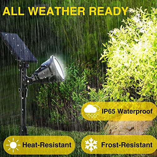 Solar Outdoor Lights (4 Count)