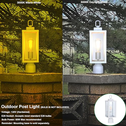 Outdoor Post Light Fixture (2 Count)