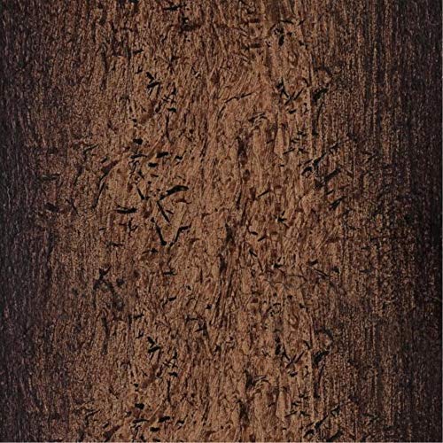 6578800 Canyon Rustic One