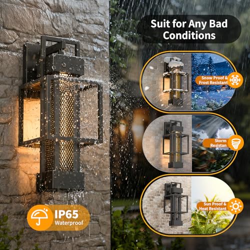 2 Pack Dusk to Dawn Outdoor Exterior Lighting Fixtures Wall Mount (2 Count)