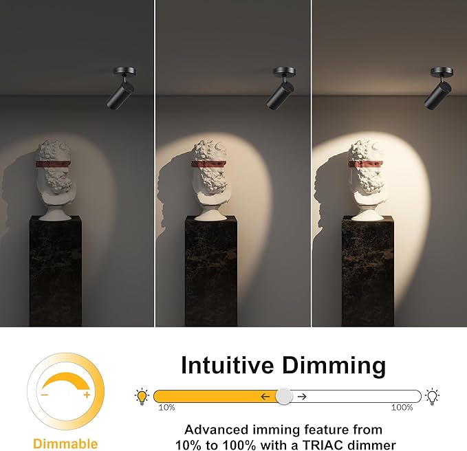 12W LED Dimmable Ceiling Spotlight Indoor - Adjustable Surface Accent Lamp for Corridor, Living Room, Warm White 3000K, CRI 97, Anti-Glare Picture Artwork Spot Light, Black