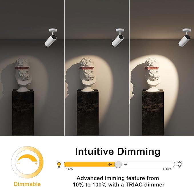 12W LED Dimmable Ceiling Spotlight Indoor - Adjustable Surface Accent Lamp for Corridor, Living Room, Warm White 3000K, CRI 97 Anti-Glare Picture Artwork Spot Light, White Finish, 2 Packs