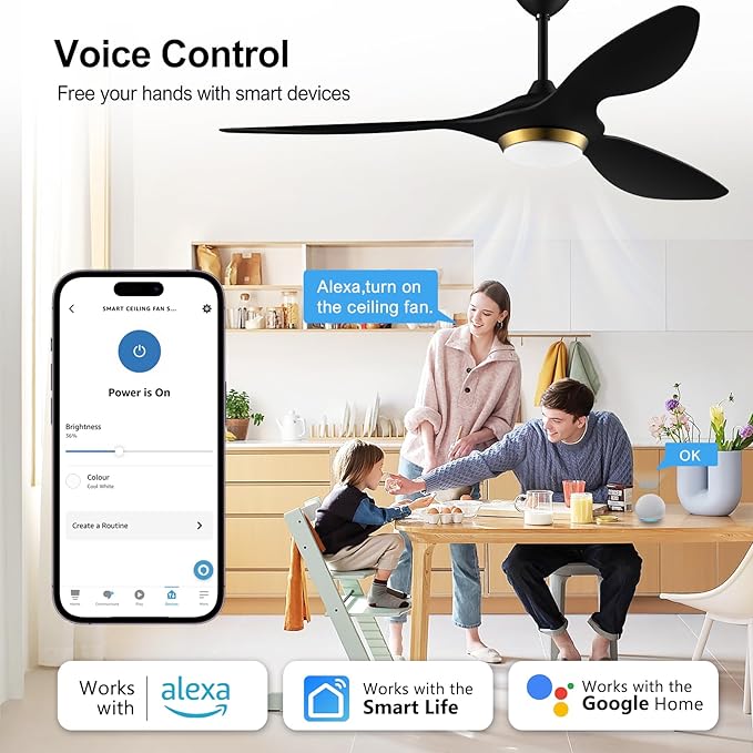 reiga 52 Inch Black Modern Ceiling Fans with Lights and Remote Control, Smart WiFi 3 Blades Quiet DC Motor for Living Room Bedroom Patio Garage, ETL Listed - Aura Lighting