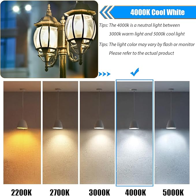 12 Pack 4000K Cool White Dimmable LED Light Bulbs 40W Equivalent, E26 Base Edison Bulbs 40 Watt, Vintage 4W LED Bulbs, Decorative ST19 Bulbs for Ceiling Light Fixtures