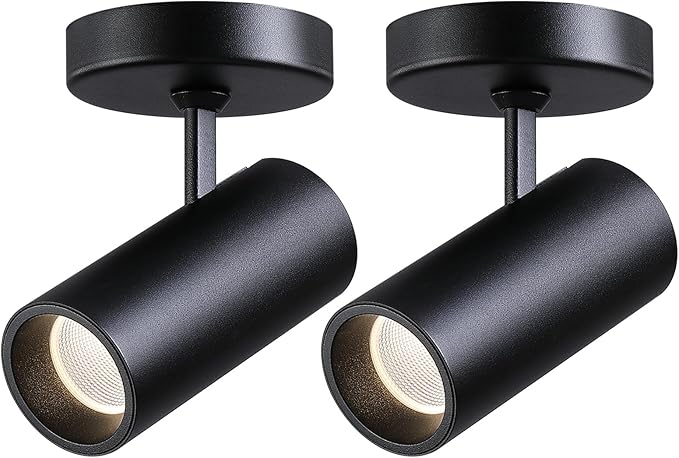 12W LED Dimmable Ceiling Spotlight Indoor - Adjustable Surface Accent Lamp for Corridor, Living Room, Warm White 3000K, CRI 97, Anti-Glare Picture Artwork Spot Light, Black 2 Packs