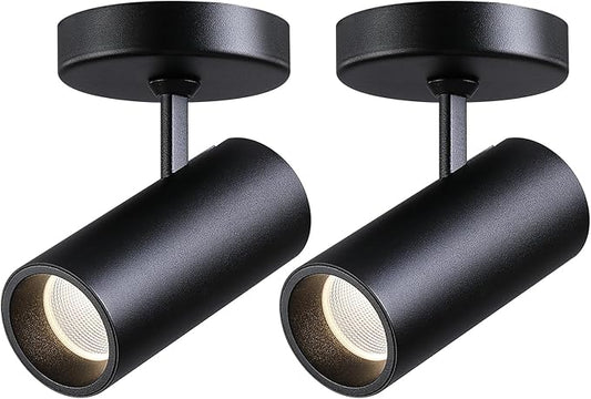 12W LED Dimmable Ceiling Spotlight Indoor - Adjustable Surface Accent Lamp for Corridor, Living Room, Warm White 3000K, CRI 97, Anti-Glare Picture Artwork Spot Light, Black 2 Packs