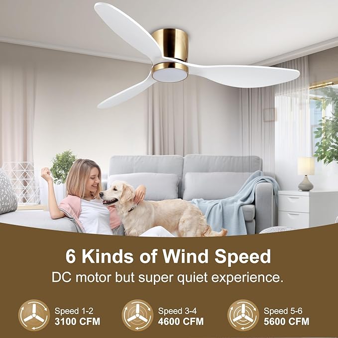 reiga 52 Inch Flush Mount White Ceiling Fan with Light Remote Control, Quiet DC Motor Low Profile 3 Wood Blade Modern Ceiling Fans for Patio Kitchen Living Room Bedroom - Aura Lighting