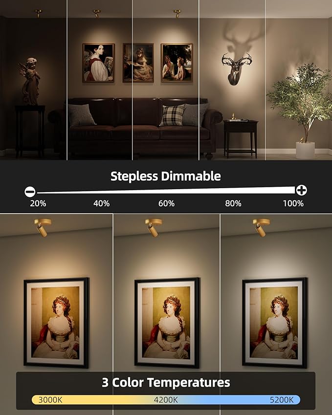 EZVALO LED Spotlight Indoor, 5500mAh Rechargeable Battery Picture Lights, Wireless Mini Art Accent Spot Lights with Remote, Uplighting Indoor for Plants Display Painting Artwork Portrait (1Pack-Gold) - Aura Lighting