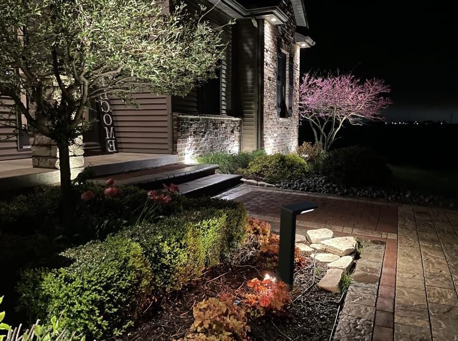 6 Pack Solar Pathway Lights (6 Count)