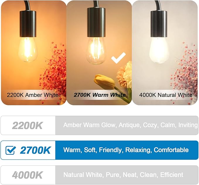 25Pack 2W S14 LED Glass Bulbs for Outdoor String Lights Replacement, E26 Medium Screw Base, 2700K Warm White LED Edison Light Bulb, 2 Watt to Replace 11w/20w/25w s14 Incandescent Bulbs