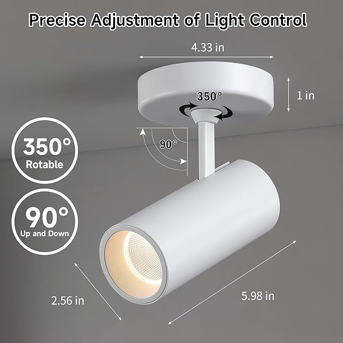 12W LED Dimmable Ceiling Spotlight Indoor - Adjustable Wall Surface Accent Lamp for Home Corridor, Warm White 3000K, CRI 97 Directional Picture Artwork Spot Light, Modern Interiors, White