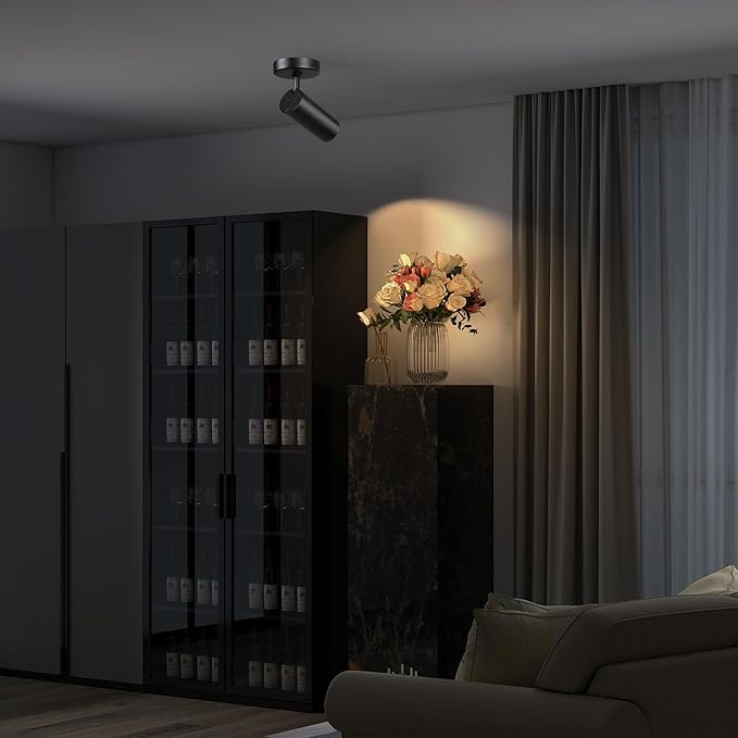 12W LED Dimmable Ceiling Spotlight Indoor - Adjustable Surface Accent Lamp for Corridor, Living Room, Warm White 3000K, CRI 97, Anti-Glare Picture Artwork Spot Light, Black 4 Packs